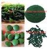 chlorella powder ,organic chlorella